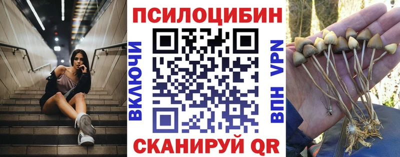 Галлюциногенные грибы прущие грибы  Алзамай 